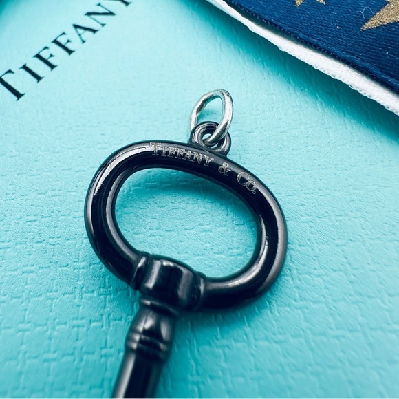 Retired Tiffany & Co. Black Titanium Oval Key Charm Pendant with Pouch - Picture 5 of 8
